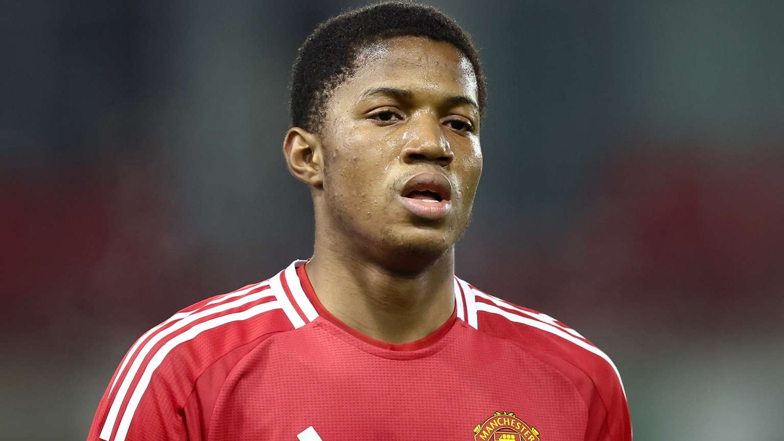 包括定制饮 包括定制饮